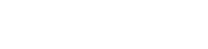 GO LOGISTIX